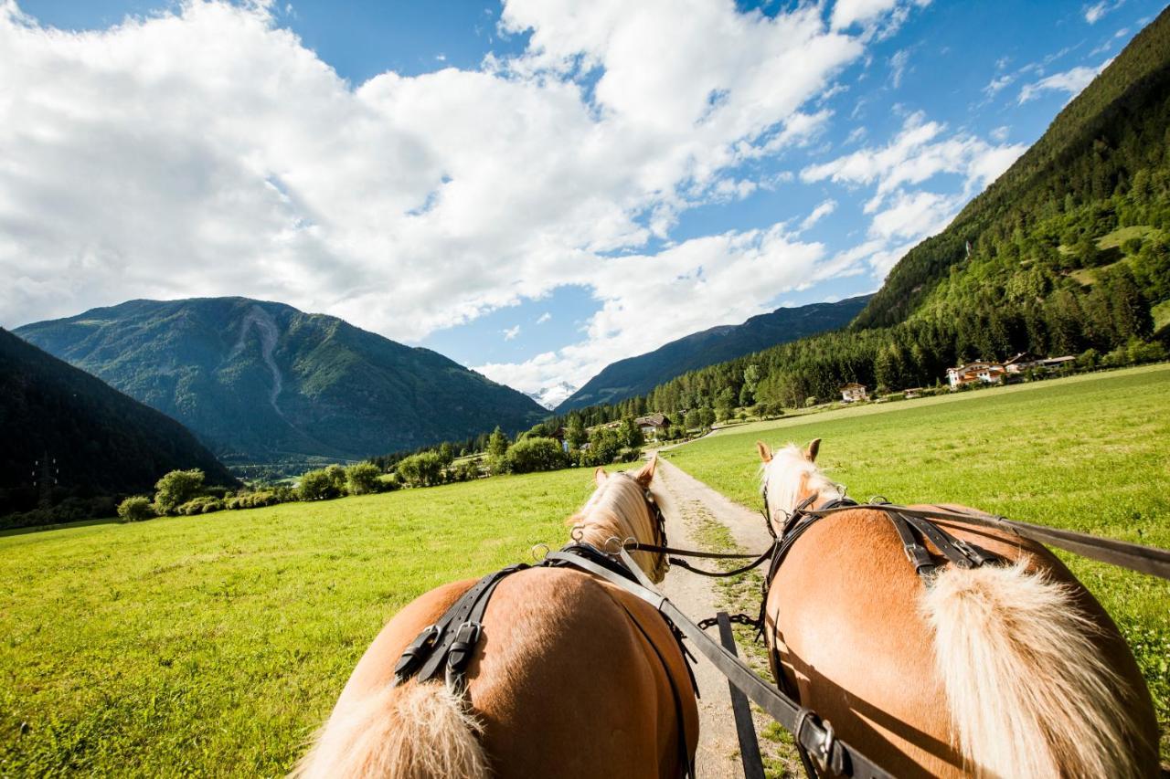 Hotel Fronza - Your Hike & Mountain Home Lutago Εξωτερικό φωτογραφία